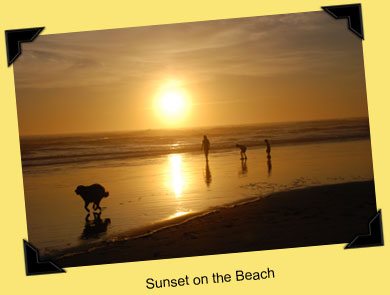 Sunset on the Beach