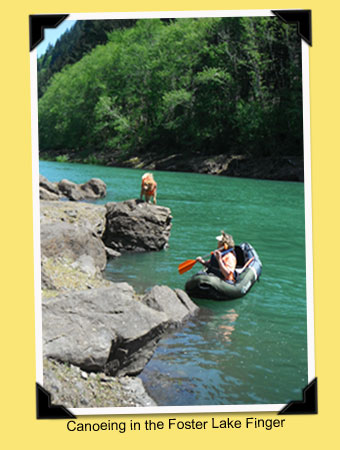 Canoeing in a Foster Lake finger