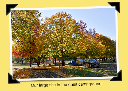 Sunnyside Campground