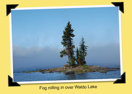 waldo lake