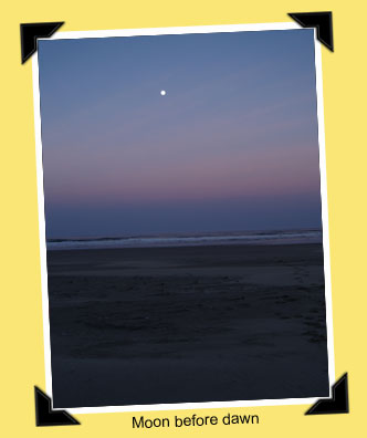 moon before dawn